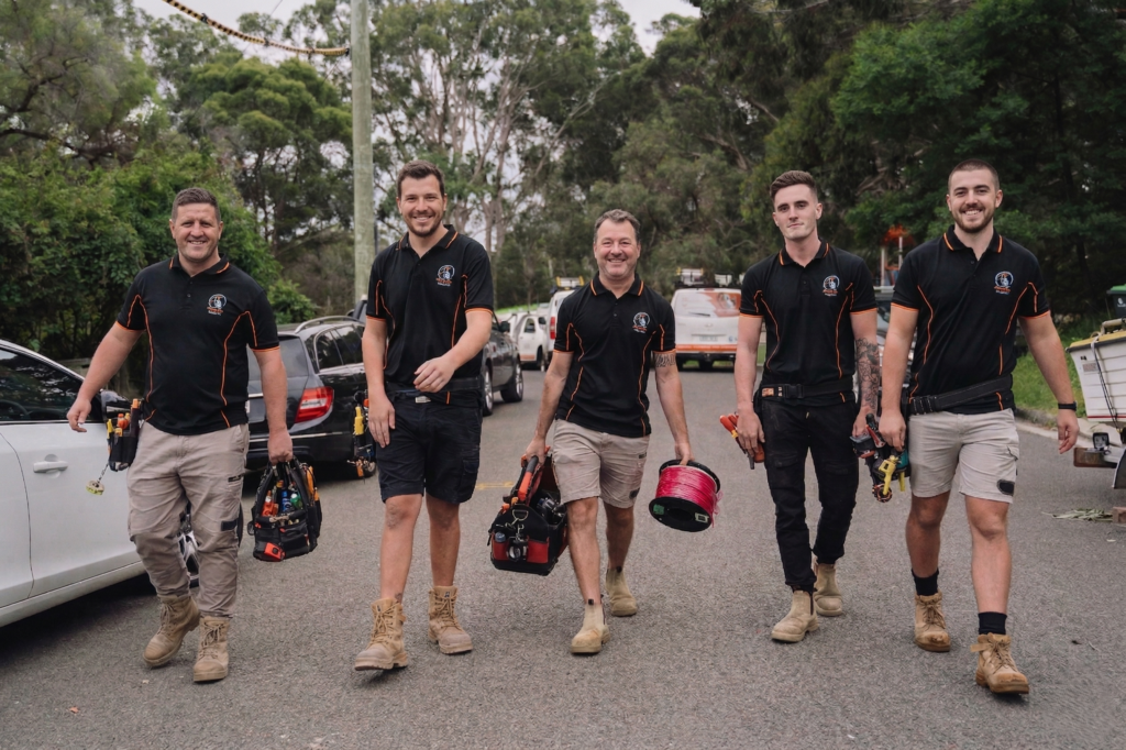 Professional electrical services in Potts Point